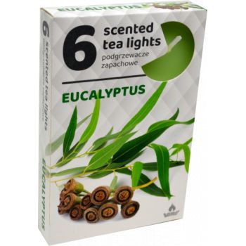 Hlavný obrázok Admit Eucalyptus čajové vonné sviečky 6ks