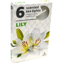 loader for Admit Lily čajové vonné sviečky 6ks