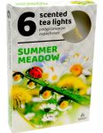 Admit Summer Meadow čajové vonné sviečky 6ks