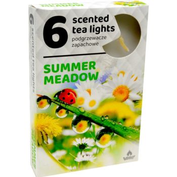 Hlavný obrázok Admit Summer Meadow čajové vonné sviečky 6ks