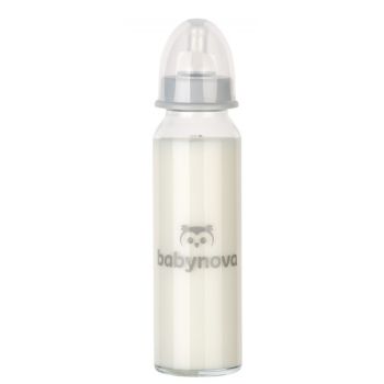 Hlavný obrázok Baby Nova dojčenská sklenená fľaša so štandardným hrdlom 0-24m 240ml 44105