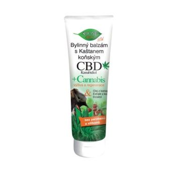Hlavný obrázok Bio Bione CBD Kanabidol+ Cannabis bylinný masážny balzám 300ml