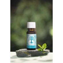 loader for Bugala PEO Mystická krajina vonný olej 10ml