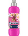 Coccolino Perfume & Care 925ml Tiare Flower &  Red Fruits  aviváž 37 praní