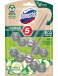 Domestos Power5 Cucumber & Fresh Leaves WC tuhý blok 2x55g