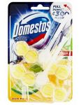 Domestos Power5 Lime WC tuhý blok 2x55g
