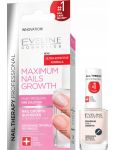 EVELINE Lak na nechty Maximalný rast 12ml