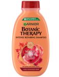 Garnier Botanic Therapy Ricinus Oil&Almond šampón na slabé, lámavé vlasy 400ml