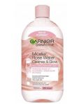 Garnier Skin Naturals Rose Micerálna pleťová voda All-in-1 700ml