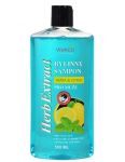 Herb Extract Mäta & Citrus bylinný šampón pre mužov 500ml