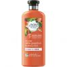 Herbal Essences kondicionér na jemné vlasy 360ml Volume Grapefruit & Mosa Mint 