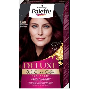 Hlavný obrázok Palette DELUXE 1-08 Burgundská čierna farba na vlasy