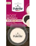 Palette Root Retouch Brown kompaktný púder na zakrytie odrastov 3g