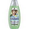 Schauma Anti - Grease & Dandruff citronová tráva šampón na vlasy 400ml