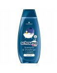 Schauma Kids Boys Blueberry šampón & sprchový gél 400ml