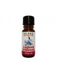 Slow-Natur Ľadová kráľovna vonný olej 10ml