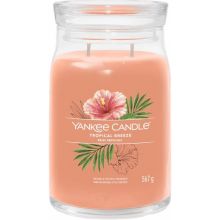 loader for Yankee Candle Tropical Breeze dekoratívna sviečka v skle 567g
