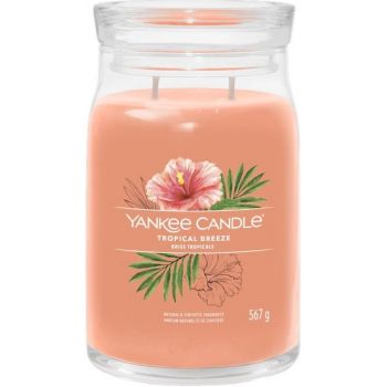 Hlavný obrázok Yankee Candle Tropical Breeze dekoratívna sviečka v skle 567g